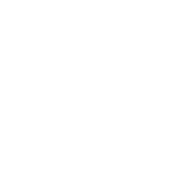 logo ina